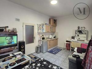 Pronájem bytu 1+kk, České Budějovice, Jírovcova, 35 m2