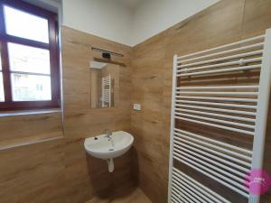 Pronájem bytu 1+kk, Olomouc, Uhelná, 33 m2