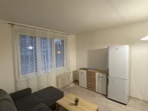 Pronájem bytu 1+1, Karlovy Vary, Družstevní, 37 m2