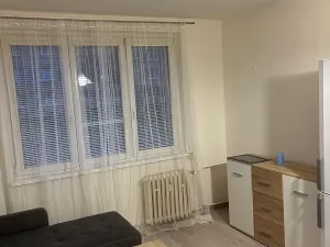 Pronájem bytu 1+1, Karlovy Vary, Družstevní, 37 m2