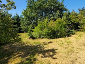 Prodej rodinného domu, Jílové u Prahy, Na Kocandě, 248 m2