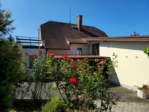 Prodej rodinného domu, Jílové u Prahy, Na Kocandě, 248 m2