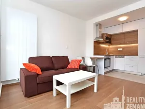 Pronájem bytu 2+kk, Praha - Vinohrady, Řipská, 36 m2