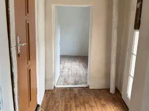 Prodej bytu 3+1, Lešany, 58 m2