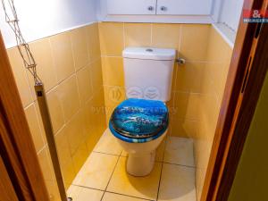 Prodej bytu 3+kk, Opava - Předměstí, Olomoucká, 63 m2