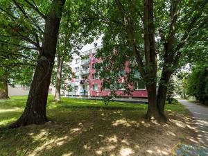 Prodej bytu 2+1, Litomyšl, Dukelská, 64 m2