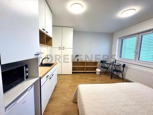 Pronájem bytu 1+kk, Brno, Cejl, 33 m2