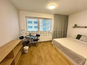 Pronájem bytu 1+kk, Brno, Cejl, 33 m2