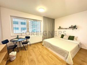 Pronájem bytu 1+kk, Brno, Cejl, 33 m2