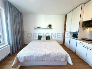 Pronájem bytu 1+kk, Brno, Cejl, 30 m2