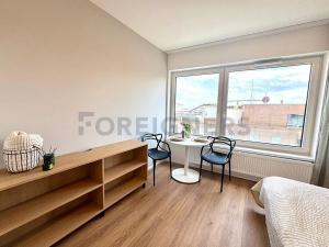 Pronájem bytu 1+kk, Brno, Cejl, 30 m2