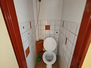 Prodej rodinného domu, Hoštice, 200 m2