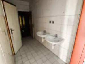 Prodej chalupy, Hoštice, 200 m2