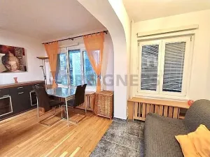 Pronájem bytu 1+kk, Praha - Košíře, Nepomucká, 40 m2