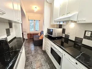 Pronájem bytu 1+kk, Praha - Košíře, Nepomucká, 40 m2