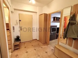 Pronájem bytu 1+kk, Praha - Košíře, Nepomucká, 40 m2