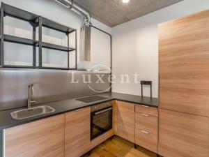 Pronájem bytu 1+kk, Praha, Pechlátova, 50 m2