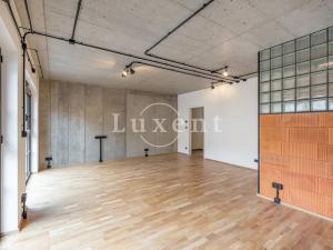 Pronájem bytu 1+kk, Praha, Pechlátova, 50 m2