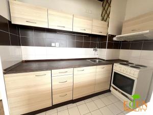 Pronájem bytu 1+kk, Plzeň, Tachovská, 38 m2