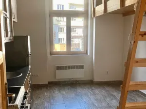 Pronájem bytu 1+kk, Praha - Košíře, Vrchlického, 20 m2