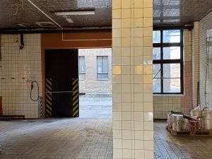 Pronájem skladu, Pardubice, Jana Palacha, 162 m2