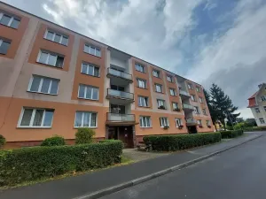 Prodej bytu 2+1, Františkovy Lázně, Otakara Březiny, 56 m2