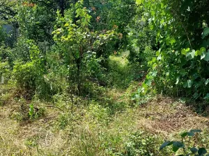 Prodej bytu 2+kk, Brno, Slovinská, 64 m2
