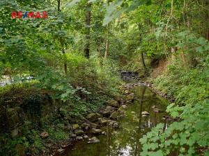 Prodej rodinného domu, Spálené Poříčí, 60 m2