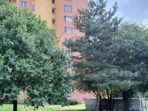 Pronájem bytu 1+kk, Ostrava - Moravská Ostrava, Gen. Píky, 28 m2