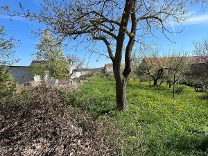 Prodej rodinného domu, Křenice, 80 m2