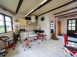 Prodej obchodního prostoru, Zámrsk, 133 m2