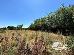 Prodej rodinného domu, Bdintsi, Bulharsko, 150 m2