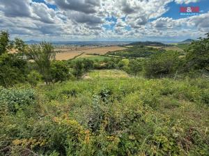 Prodej zahrady, Žitenice, 1565 m2