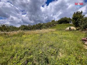 Prodej zahrady, Žitenice, 1565 m2