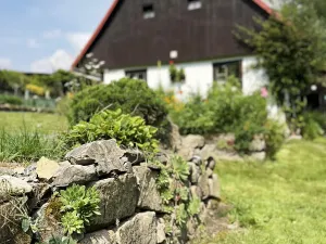 Prodej chalupy, Machov, 206 m2