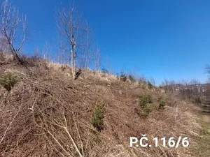 Prodej lesa, Jihlava, 52928 m2
