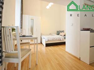 Pronájem bytu 1+kk, Brno, Koliště, 24 m2