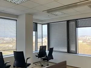 Pronájem kanceláře, Brno, Holandská, 250 m2