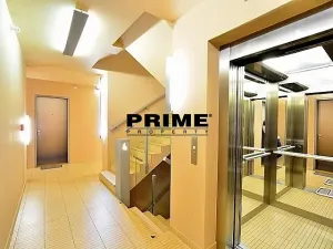 Pronájem bytu 2+kk, Praha - Žižkov, Prokopova, 46 m2