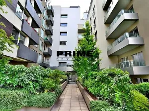 Pronájem bytu 2+kk, Praha - Žižkov, Prokopova, 46 m2