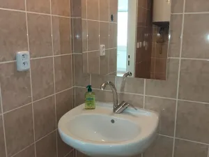 Pronájem bytu 1+kk, Plzeň, Moravská, 38 m2