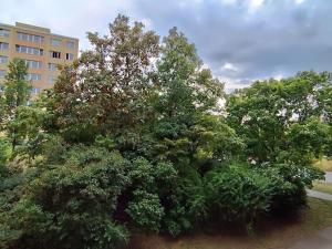 Prodej bytu 2+kk, Praha - Záběhlice, Mečíková, 41 m2