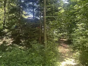 Prodej chaty, Bratřejov, 30 m2