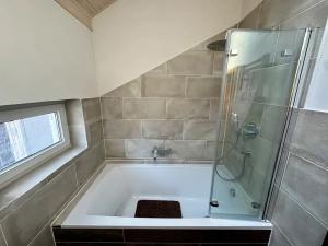 Pronájem vícegeneračního domu, Stará Huť, Karla Dvořáka, 300 m2