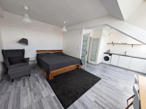 Pronájem bytu 2+kk, Praha - Holešovice, U průhonu, 54 m2