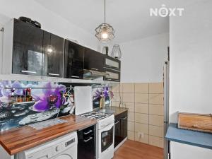 Prodej bytu 2+1, Karviná, Borovského, 55 m2