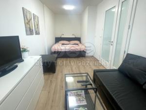Prodej bytu 2+kk, Mikulov, Purkyňova, 43 m2