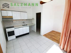 Pronájem bytu 1+1, Plzeň, K Pecím, 46 m2