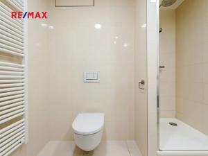 Prodej bytu 2+kk, Praha - Vinohrady, Soběslavská, 53 m2