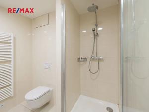 Prodej bytu 2+kk, Praha - Vinohrady, Soběslavská, 53 m2